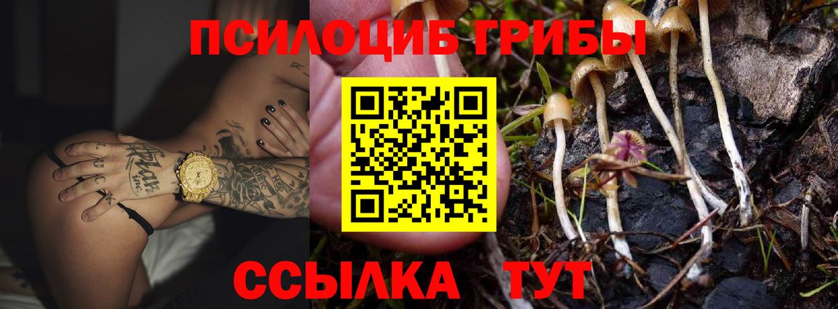 Галлюциногенные грибы ЛСД Нягань